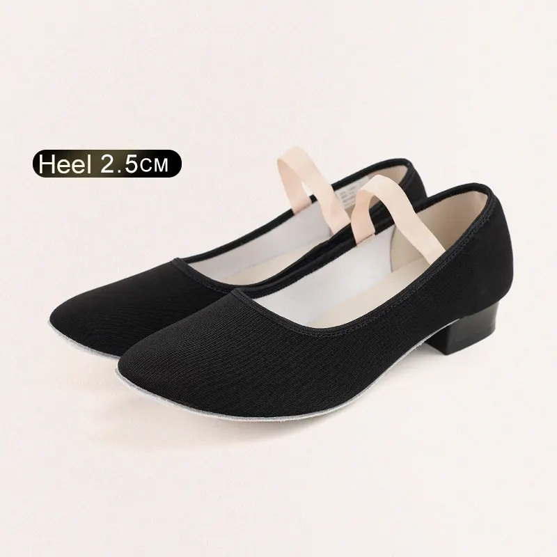 Ballet Shoes for Girls Dance Shoes for Woman Dancing Slippers Gymnastics Shoes Character Teacher Shoes High Heel Dancing Shoes - Image 7